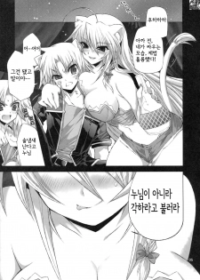 (COMIC1☆5) [FANTASY WIND (Minazuki Satoshi, Shinano Yura)] CATDAYS (DOG DAYS) [Korean] [KERO kun] - page 4