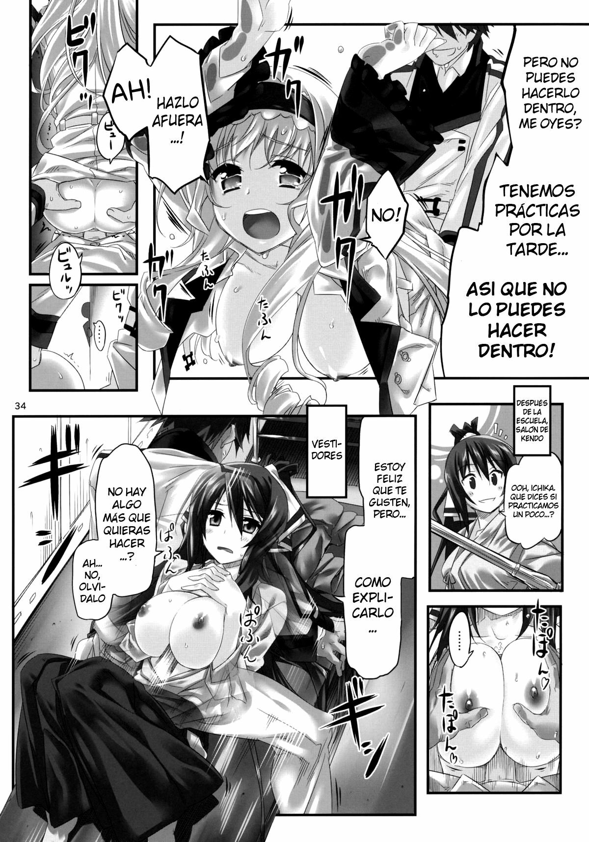 (C80) [Himura Nyuugyou (Himura Kiseki)] Yuuzai Shouko Bukken Sangou (IS ) [Spanish] [Koi Subs] page 33 full