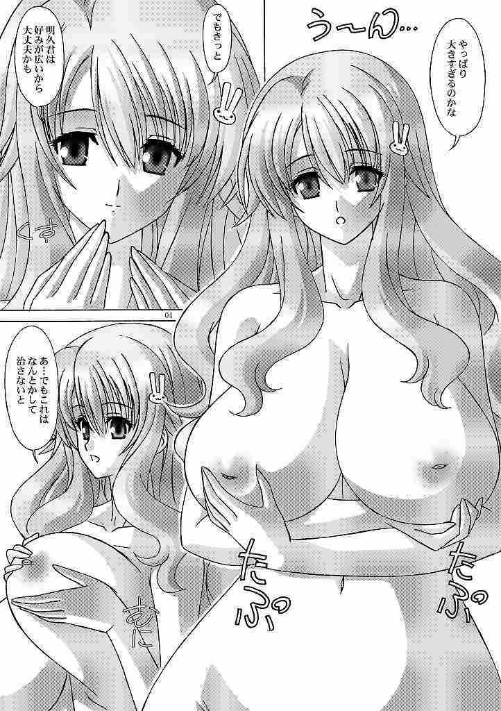 (COMIC1☆4) [Bousou!! Fuhatsudan (Takai Biki)] Himeji Mizuki ga Issho (Baka to Test to Shoukanjuu) page 4 full