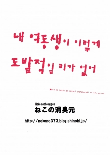 [Neko no Shoushugen (Minamikunimusu)] Ore no Imouto ga Konnani Chouhatsuteki na Wakega nai (Ore no Imouto ga Konna ni Kawaii Wake ga Nai) (korean) - page 18