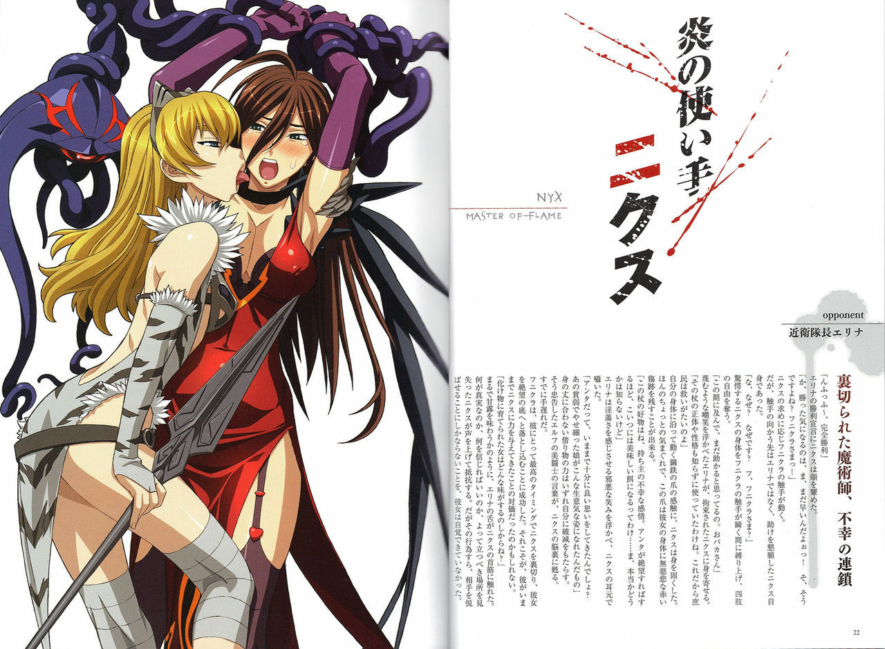 [Hobby JAPAN (Various)] Queen's Blade Kanzen Haiboku Gashuu Vanquished Queens 3 (Queen's Blade) page 13 full