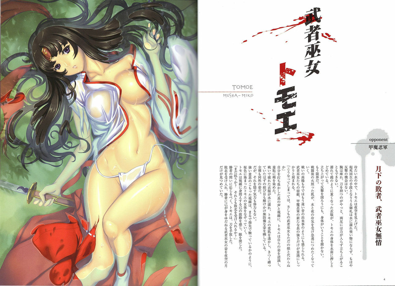 [Hobby JAPAN (Various)] Queen's Blade Kanzen Haiboku Gashuu Vanquished Queens 3 (Queen's Blade) page 4 full