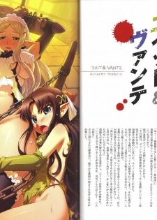 [Hobby JAPAN (Various)] Queen's Blade Kanzen Haiboku Gashuu Vanquished Queens 3 (Queen's Blade) - page 19