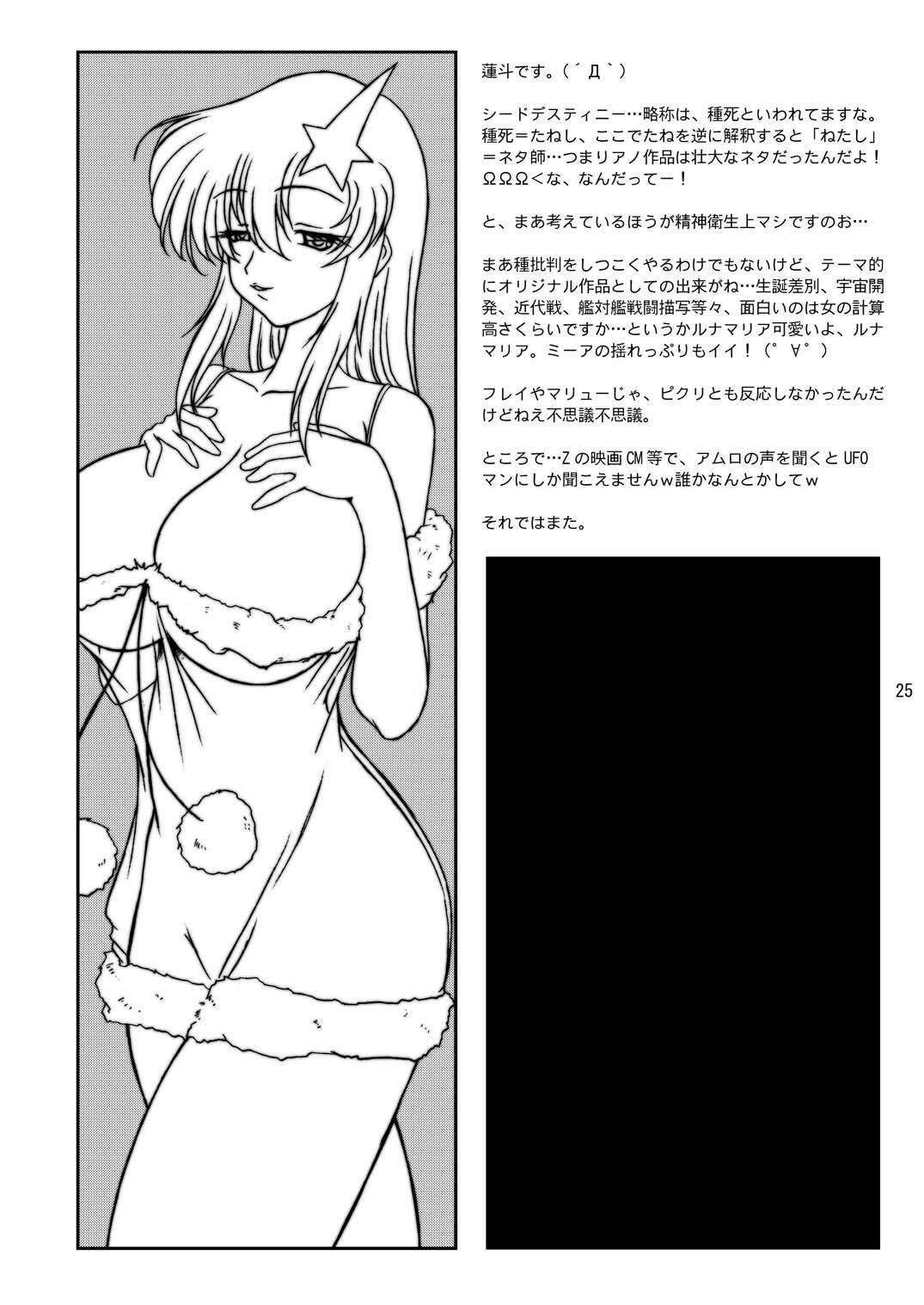 [GLAMOUR WORKS (Lento)] Lunamari Nikki (Gundam SEED DESTINY) page 25 full