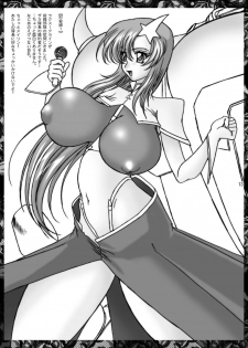 [GLAMOUR WORKS (Lento)] Lunamari Nikki (Gundam SEED DESTINY) - page 13