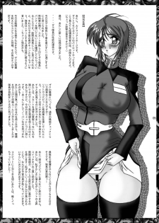 [GLAMOUR WORKS (Lento)] Lunamari Nikki (Gundam SEED DESTINY) - page 5