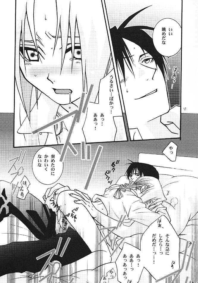 obscene act (Full Metal Alchemist) page 14 full