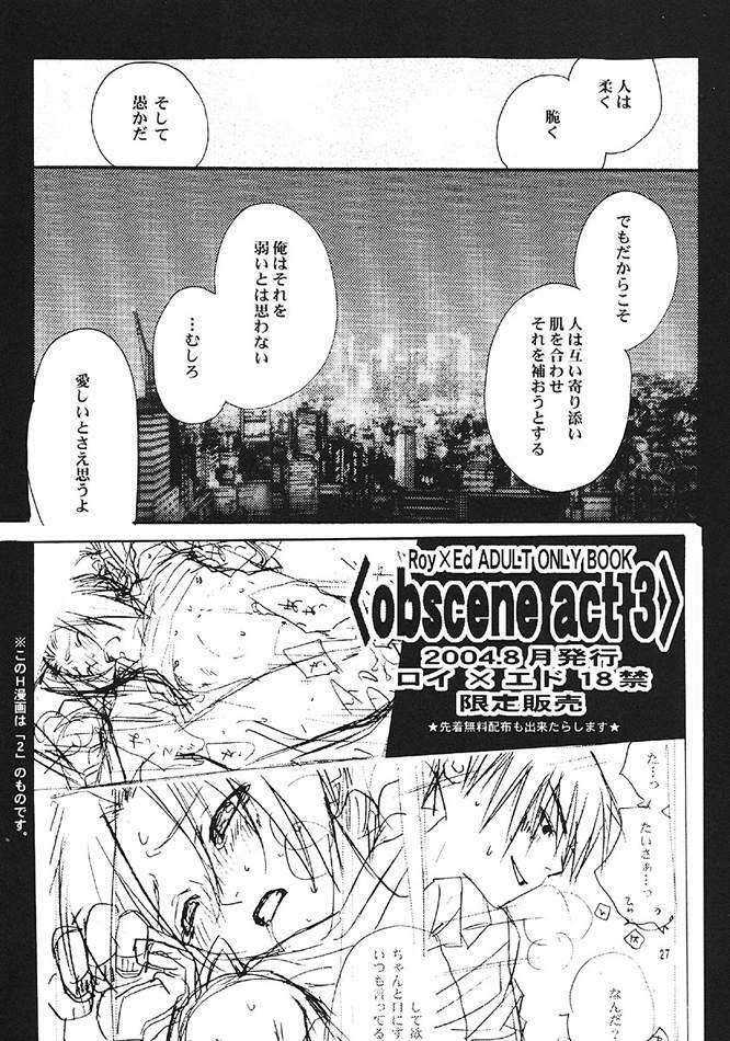 obscene act (Full Metal Alchemist) page 24 full