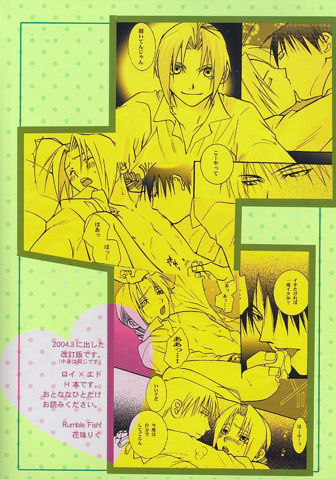 obscene act (Full Metal Alchemist) page 28 full