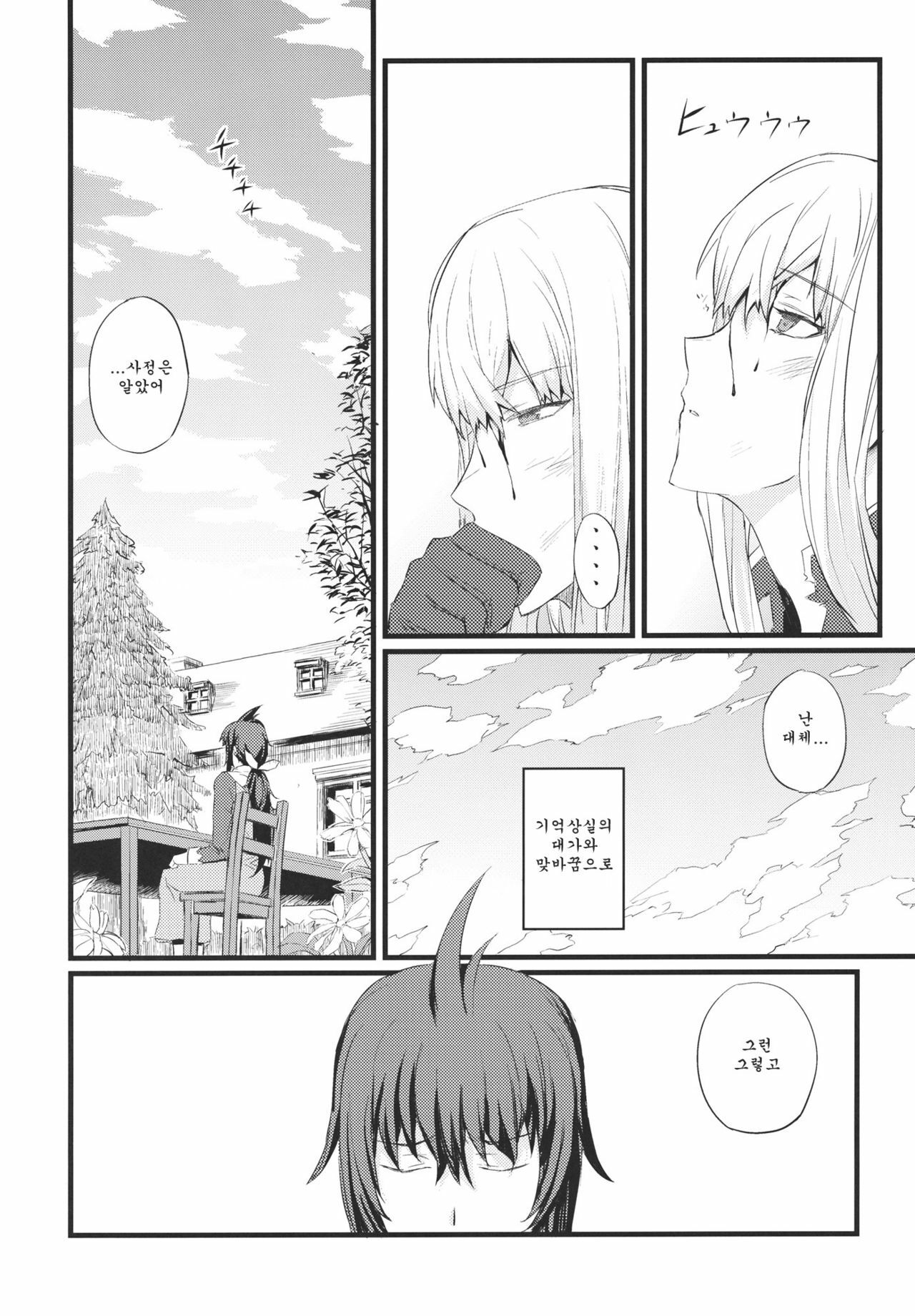 (C80) [FukaFuka Tenshoku (Popuran)] Valkyria no Seikan (Valkyria Chronicles 3) [Korean] page 3 full