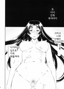 (C78) [Disaster (Cuvie)] black widow (Sengoku BASARA) (korean) - page 23
