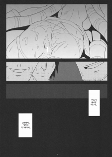 (C80) [NF121 (Midori Aoi)] Chichi Kishi Marguerite (Super Robot Wars Z 2nd) [Korean] - page 22