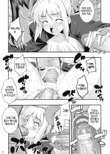 (C79) [RUBBISH Selecting Squad (Namonashi)] RE 12 (Fate/stay night) [Korean] [성귀] - page 26