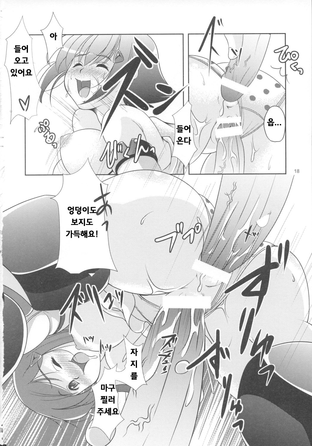 (C73) [Alice no Takarabako, Watosato (Mizuryu Kei, Sugiura)] Onaho (Queen's Blade) [Korean] [Bigking] page 17 full