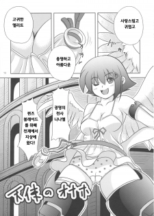 (C73) [Alice no Takarabako, Watosato (Mizuryu Kei, Sugiura)] Onaho (Queen's Blade) [Korean] [Bigking] - page 12
