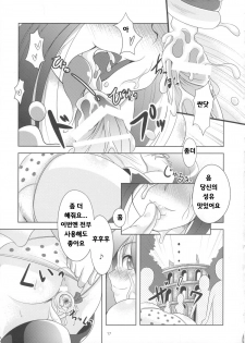 (C73) [Alice no Takarabako, Watosato (Mizuryu Kei, Sugiura)] Onaho (Queen's Blade) [Korean] [Bigking] - page 16