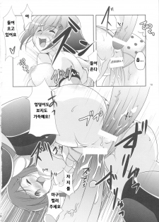 (C73) [Alice no Takarabako, Watosato (Mizuryu Kei, Sugiura)] Onaho (Queen's Blade) [Korean] [Bigking] - page 17