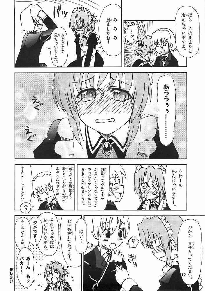 (ComiComi11) [Sukoburumer's (elf.k, Lei, Tonbi)] Hayate ni Yoru Fukuinsho (Hayate no Gotoku!) page 11 full