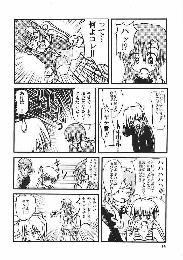 (ComiComi11) [Sukoburumer's (elf.k, Lei, Tonbi)] Hayate ni Yoru Fukuinsho (Hayate no Gotoku!) page 13 full