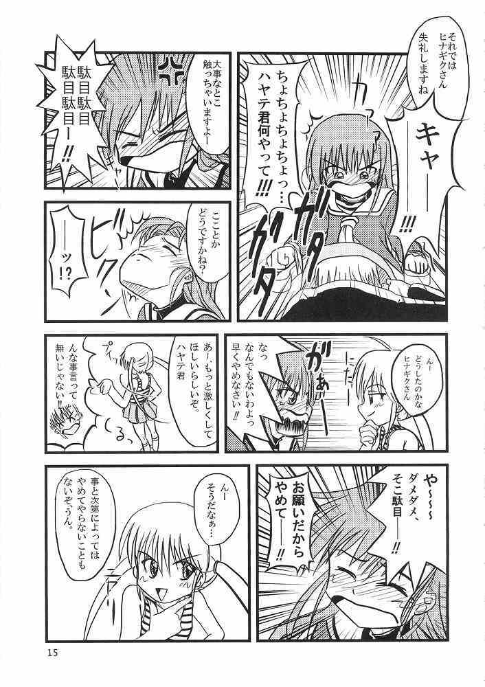 (ComiComi11) [Sukoburumer's (elf.k, Lei, Tonbi)] Hayate ni Yoru Fukuinsho (Hayate no Gotoku!) page 14 full