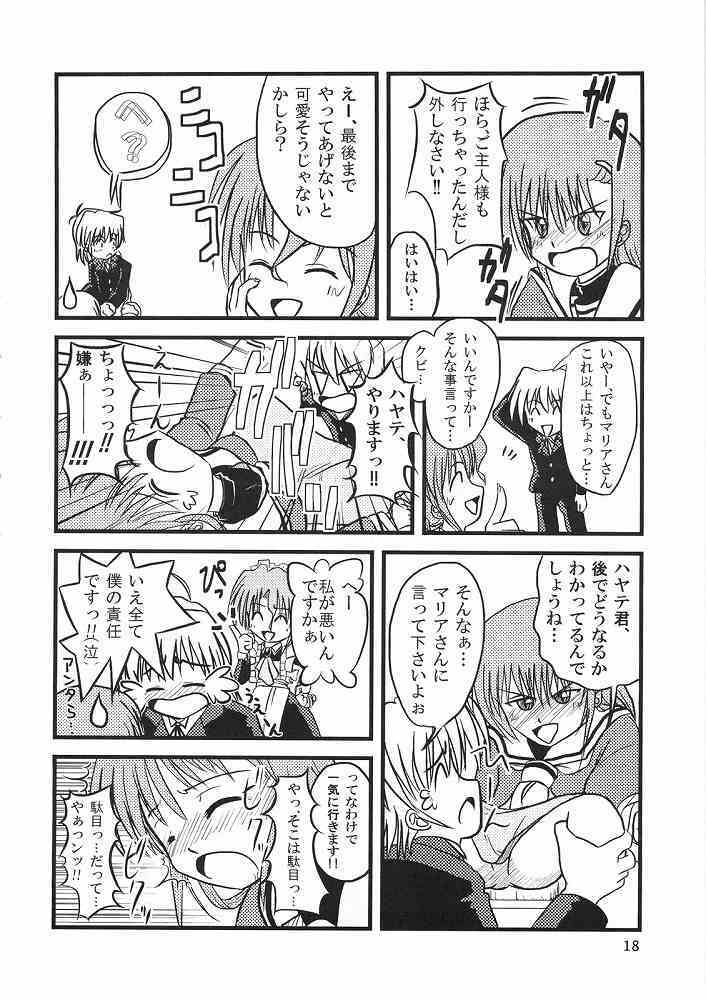 (ComiComi11) [Sukoburumer's (elf.k, Lei, Tonbi)] Hayate ni Yoru Fukuinsho (Hayate no Gotoku!) page 17 full