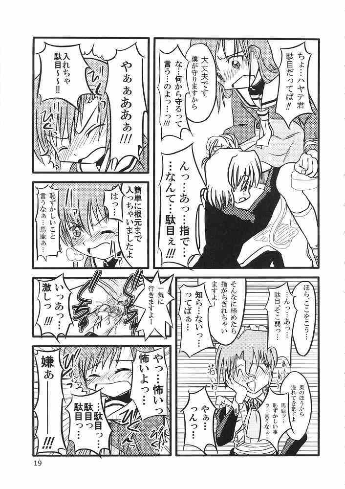 (ComiComi11) [Sukoburumer's (elf.k, Lei, Tonbi)] Hayate ni Yoru Fukuinsho (Hayate no Gotoku!) page 18 full