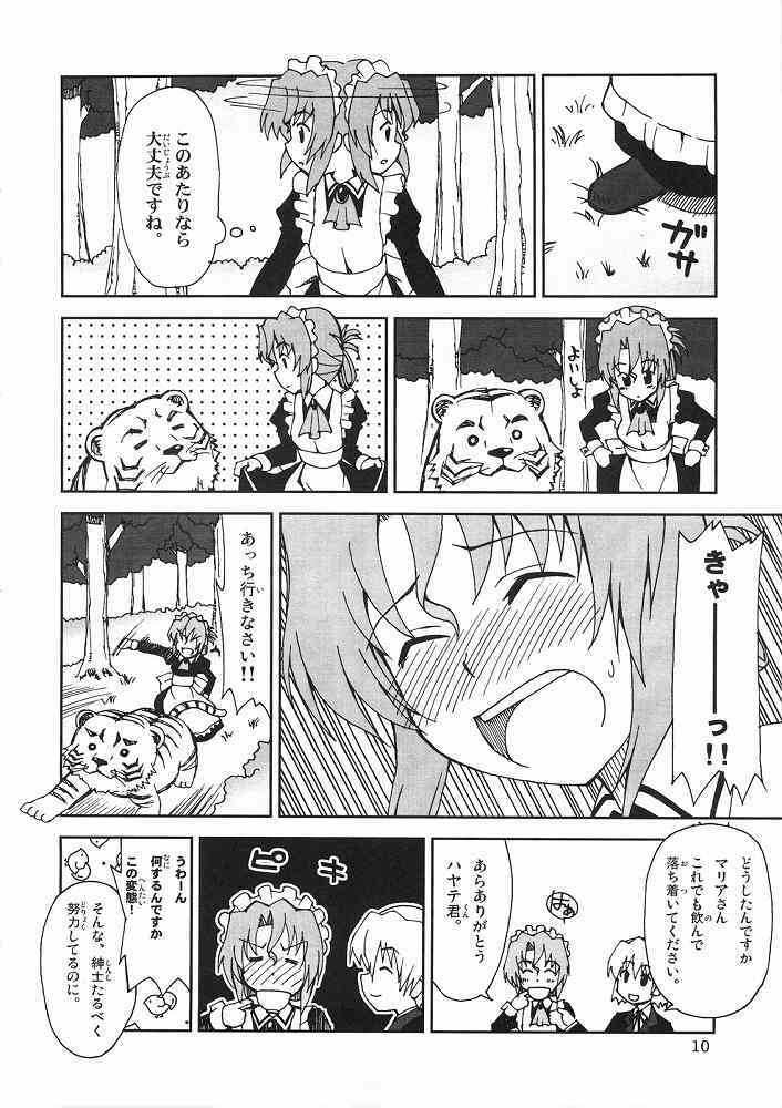 (ComiComi11) [Sukoburumer's (elf.k, Lei, Tonbi)] Hayate ni Yoru Fukuinsho (Hayate no Gotoku!) page 9 full