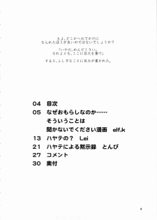 (ComiComi11) [Sukoburumer's (elf.k, Lei, Tonbi)] Hayate ni Yoru Fukuinsho (Hayate no Gotoku!) - page 3