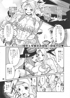 (C80) [nWa (Various)] Amazone ~The First Impression~ (Dragon's Crown) - page 27