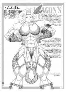 (C80) [nWa (Various)] Amazone ~The First Impression~ (Dragon's Crown) - page 33