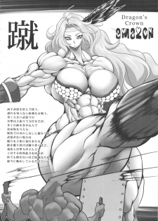 (C80) [nWa (Various)] Amazone ~The First Impression~ (Dragon's Crown) - page 35