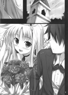 (C80) [IV VA SHIN (Mikuni Mizuki)] Home Sweet Home ~Fate Hen~ (Mahou Shoujo Lyrical Nanoha) - page 4