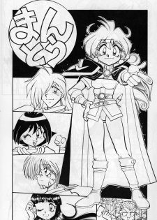 (C51) [Chuuka Mantou (Yagami Dai)] Mantou 11 (Slayers) - page 3