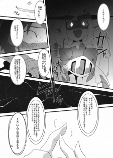 (C80) [Sugusoko (Yuma Ryouhei)] Toraware no Madouhime Gekan (Lord of Lords Ryu Knight) - page 24