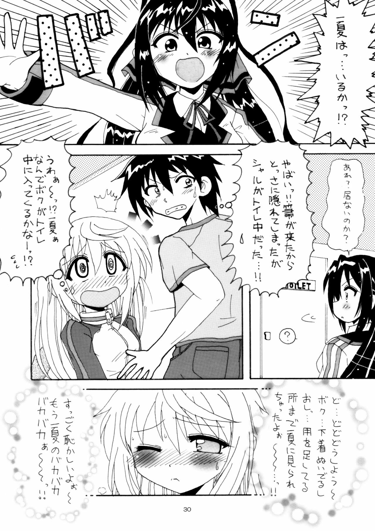 [Red Ribbon Revenger (Hayama, Kamihara Mizuki, Makoushi)] Boku no Ichika ga Konna ni Kedamono Wake ga nai (IS ) page 29 full