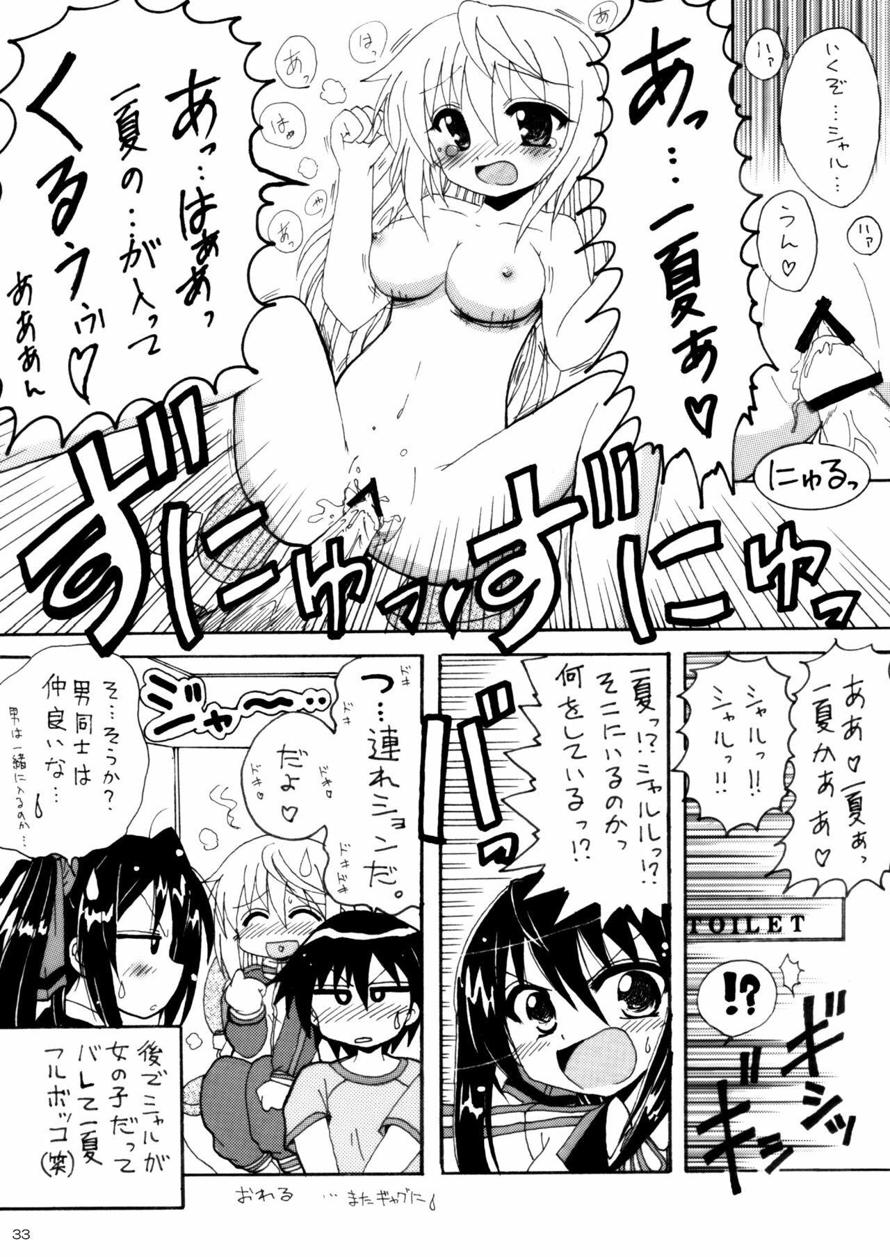 [Red Ribbon Revenger (Hayama, Kamihara Mizuki, Makoushi)] Boku no Ichika ga Konna ni Kedamono Wake ga nai (IS ) page 32 full