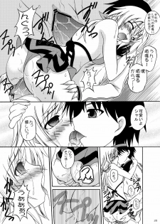 [Red Ribbon Revenger (Hayama, Kamihara Mizuki, Makoushi)] Boku no Ichika ga Konna ni Kedamono Wake ga nai (IS ) - page 24