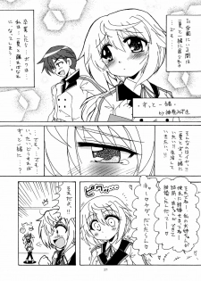 [Red Ribbon Revenger (Hayama, Kamihara Mizuki, Makoushi)] Ore to Char ga Konna ni Midareru Wake ga nai (IS ) - page 20
