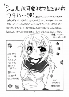 [Red Ribbon Revenger (Hayama, Kamihara Mizuki, Makoushi)] Ore to Char ga Konna ni Midareru Wake ga nai (IS ) - page 24