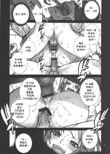 [P-collection (nori-haru)] Kachousen Roku | 화접선 6 (King of Fighters) [Korean] [Project H] - page 16
