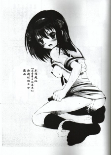 (C75) [GUST (Harukaze Soyogu)] Suzumiya Haruhi no Hatsunetsu (The Melancholy of Haruhi Suzumiya) [Chinese] - page 2