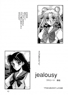 [Anthology] Lunatic Party 2 (Sailor Moon) - page 24