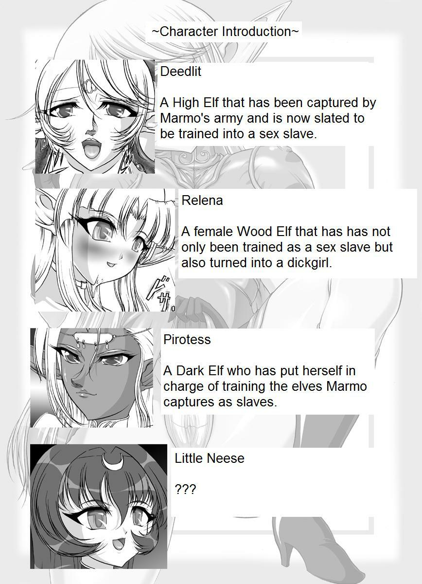 [SLW (Q1)] Aidorei Elf Senki | Record of Slave Elf War (Record of Lodoss War) [English] [DarkSpooky] [Digital] page 2 full