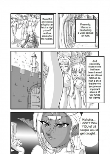 [SLW (Q1)] Aidorei Elf Senki | Record of Slave Elf War (Record of Lodoss War) [English] [DarkSpooky] [Digital] - page 3