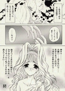 (C57) [HEART WORK (Suzuhira Hiro)] A' ALICE in... - page 24