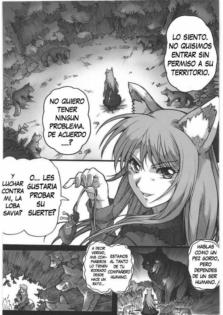 (C76) [Kacchuu Musume (Hisahiko, Shimamoto Harumi)] Smalt Leather (Spice and Wolf) [Spanish] page 3 full