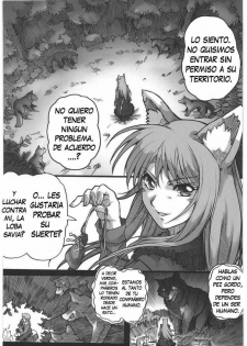 (C76) [Kacchuu Musume (Hisahiko, Shimamoto Harumi)] Smalt Leather (Spice and Wolf) [Spanish] - page 3