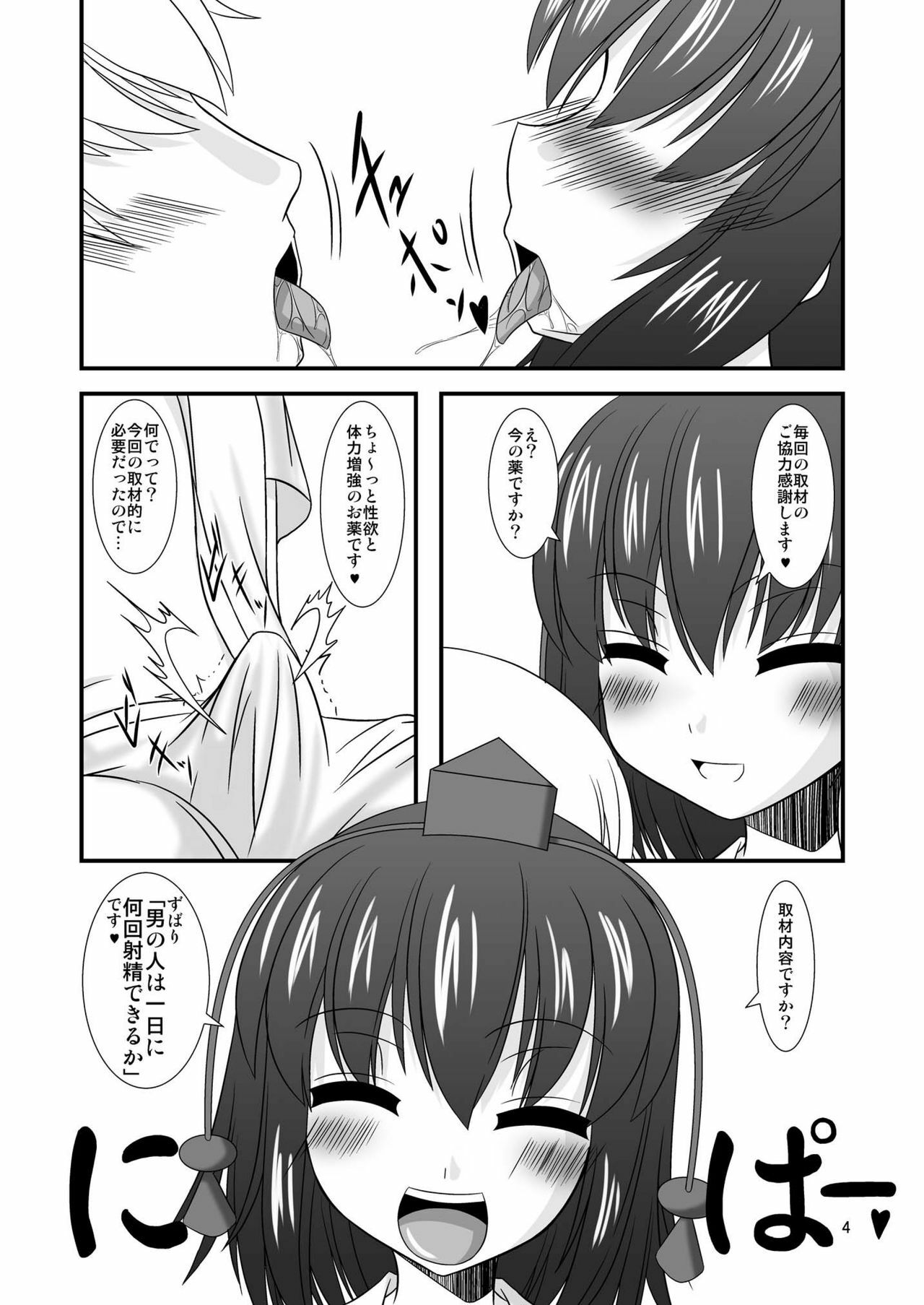 [Endless Requiem] Touhou Dom Hoihoi ~Shameimaru-hen~ (Touhou Project) [Digital] page 4 full