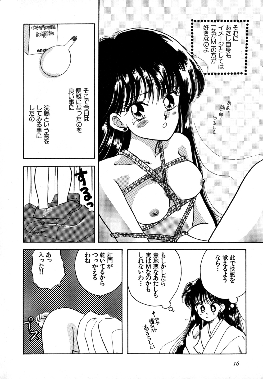 [Anthology] Lunatic Party 4 (Bishoujo Senshi Sailor Moon) page 17 full