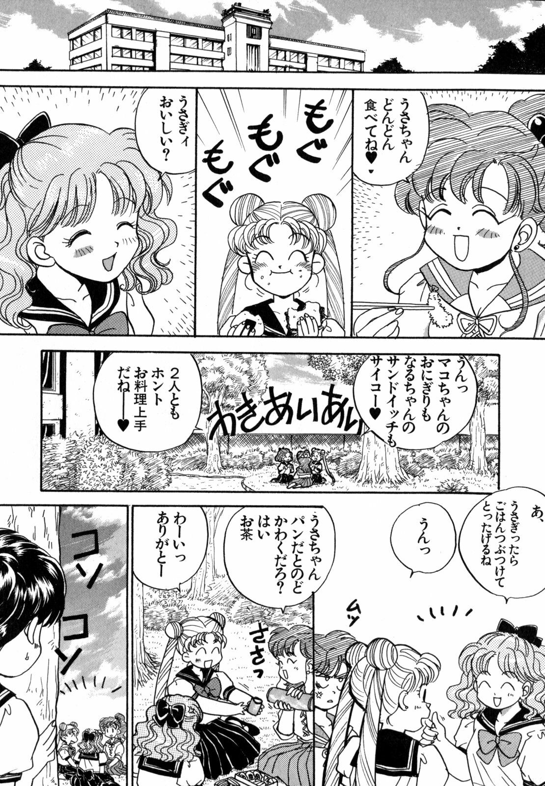 [Anthology] Lunatic Party 4 (Bishoujo Senshi Sailor Moon) page 30 full